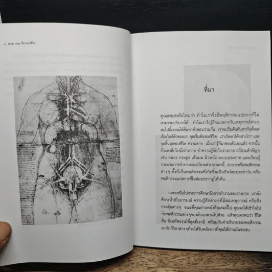 Body map ทีมาแห่งชีวิต - ฐาปนวัฒน์ คนหลวง รูปที่ 9