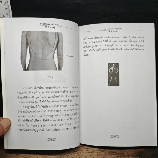 ชุด กดจุดหยุดโรค กดจุดหยุดโรคปวดเอว - สิตางค์ รูปที่ 8