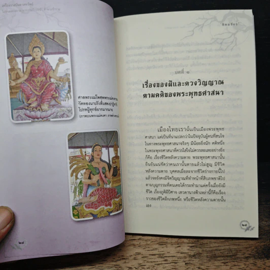 เทพนารี สตรีบันดาลทรัพย์ รูปที่ 8