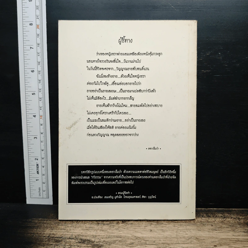 ผัสสะไร้ปรุงแต่ง - ดอกเข็มป่า รูปที่ 2