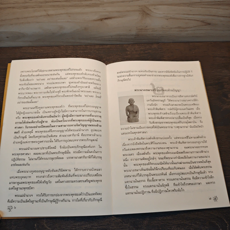 อรหันต์เถรีผู้เป็นเอตทัคคะ - ภิกษุณีธัมมนันทา รูปที่ 7