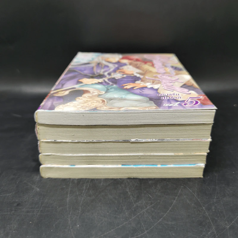 การ์ตูนวาย Crimson Spell คริมสันสเปลล์ เล่ม 1-5 รูปที่ 3