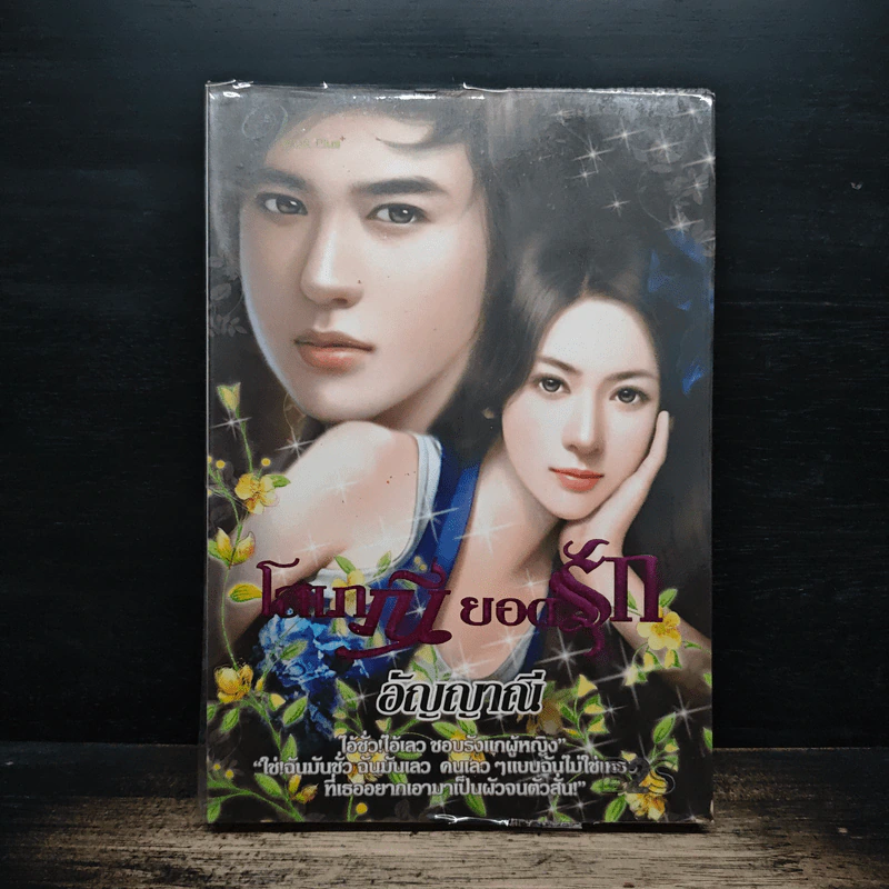 โสเภณียอดรัก - อัญญาณี รูปที่ 1