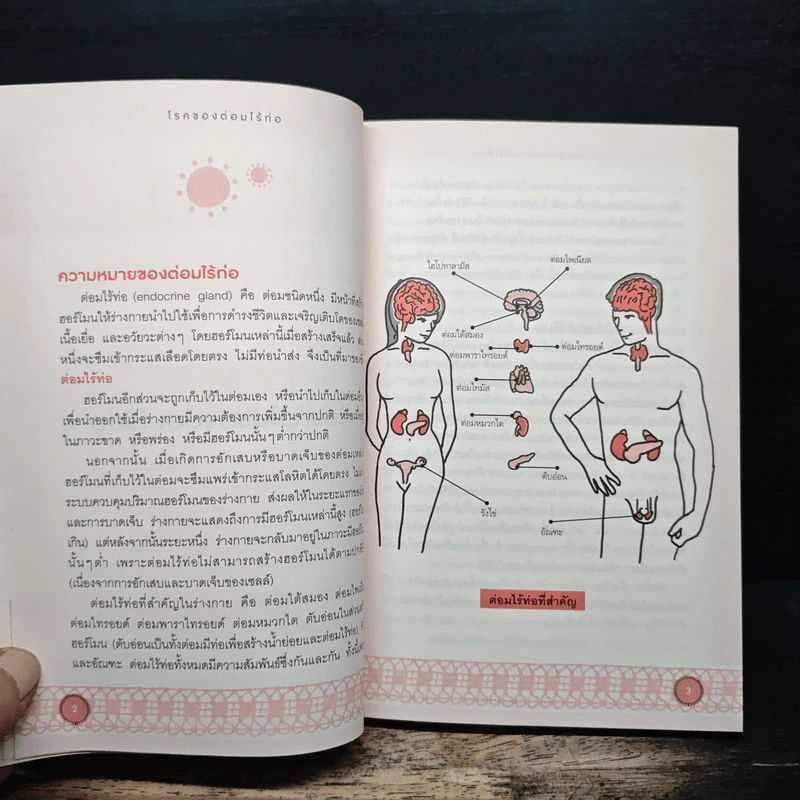 โรคของต่อมไร้ท่อ - พวงทอง ไกรพิบูลย์ รูปที่ 8