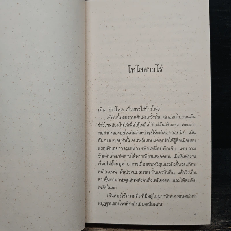 เสเพลบอยชาวไร่ - รงค์ วงษ์สวรรค์ รูปที่ 10
