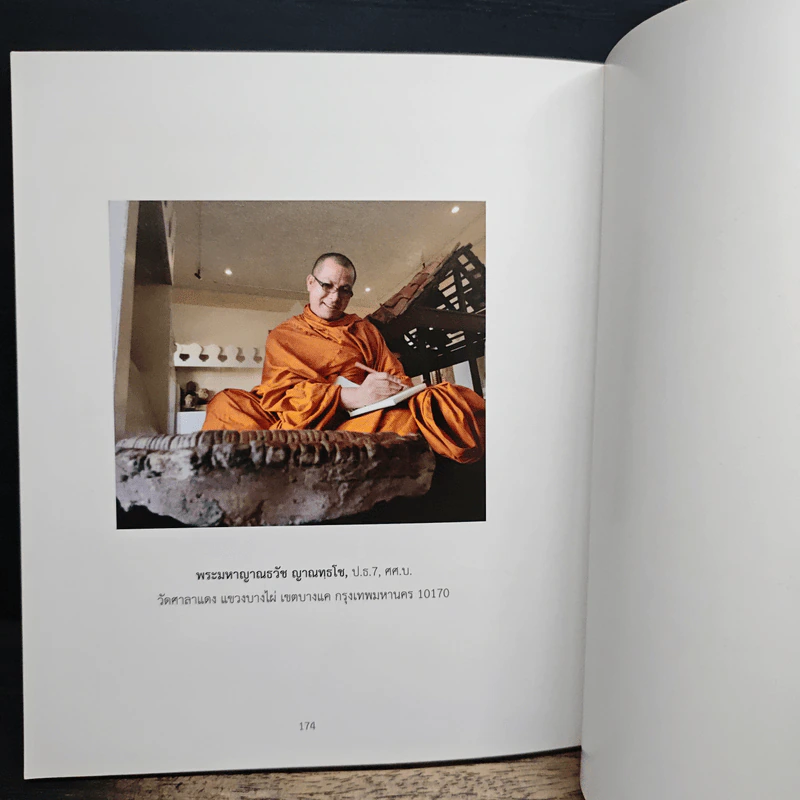 วัดพระเมรุราชิการาม รูปที่ 10