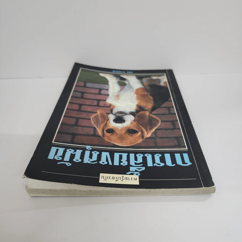 ์การเลี้ยงสุนัข - สมิต สวามิภักดิ์ รูปที่ 6
