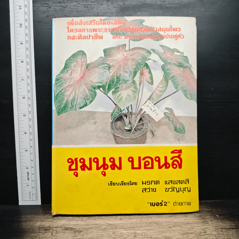 ชุมนุม บอนสี - มรกต แสงสดสี, สว่าง ขวัญบุญ รูปที่ 1