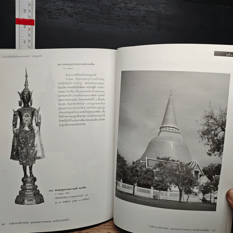 โบราณวัตถุในพิพิธภัณฑสถานแห่งชาติ พระปฐมเจดีย์ รูปที่ 11
