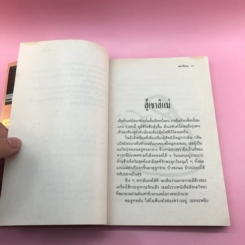 สู้เขาสิแม่ - เริงศักดิ์ กำธร รูปที่ 13
