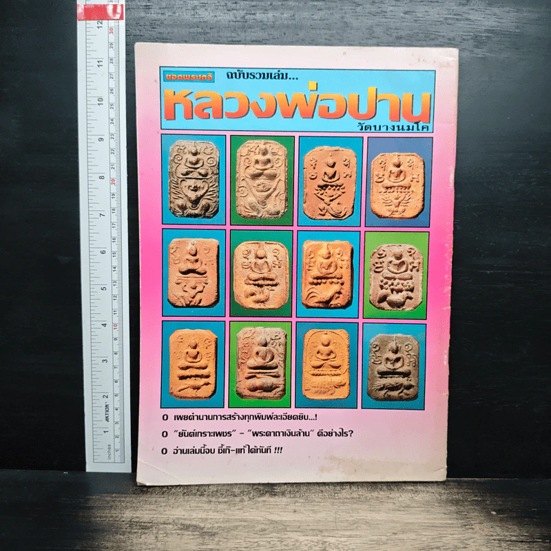 ยอดพระเกจิ ฉบับรวมเล่ม หลวงพ่อปาน รูปที่ 2