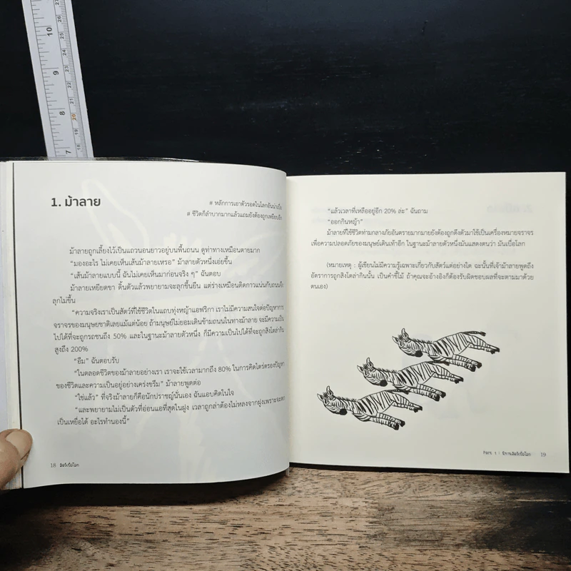 สัตว์เบื่อโลก - เยี่ยน ซื่อ จี รูปที่ 10