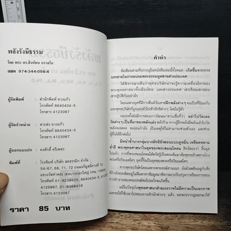 พลังรังษีธรรม - พระสิงห์ทน นราสโก รูปที่ 6