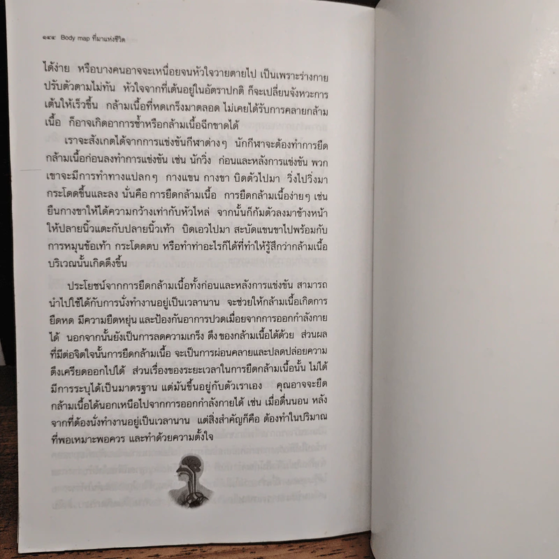 Body map ทีมาแห่งชีวิต - ฐาปนวัฒน์ คนหลวง รูปที่ 10