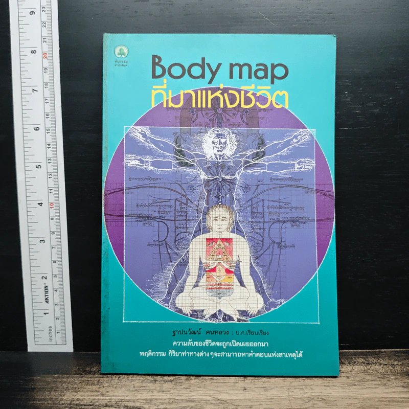 Body map ทีมาแห่งชีวิต - ฐาปนวัฒน์ คนหลวง รูปที่ 1