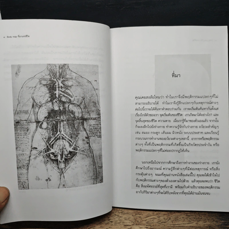 Body map ทีมาแห่งชีวิต - ฐาปนวัฒน์ คนหลวง รูปที่ 9