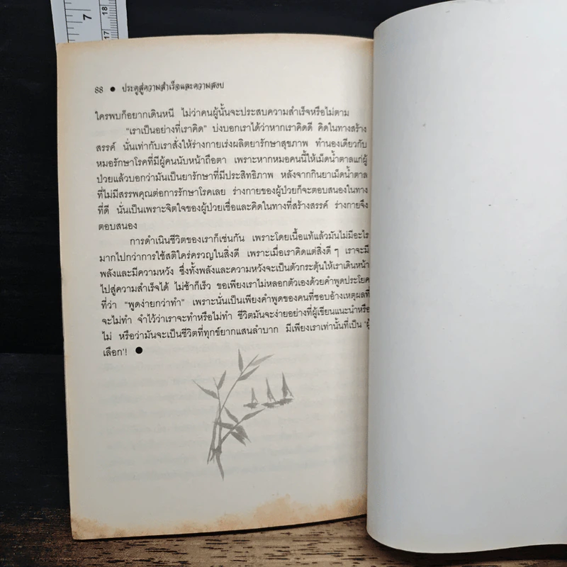 ประตูสู่ความสำเร็จและความสงบ - ศักดิ์ บวร รูปที่ 10