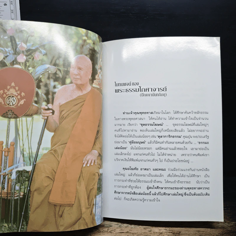 ใช้ธรรมะกับการเมือง - อ.อโณทัย รูปที่ 9