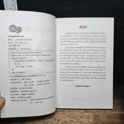 การปลูกผักเพื่อการค้า รูปที่ 6