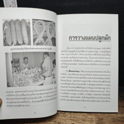 การปลูกผักเพื่อการค้า รูปที่ 8