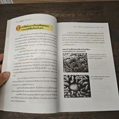 ภูมิคุ้มกัน บอดี้การ์ดส่วนตัว - Koichiro Fujita รูปที่ 9