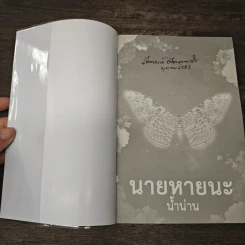 นายหายนะ - น้ำน่าน รูปที่ 6