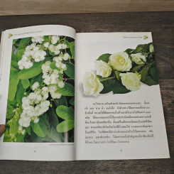 สารานุกรมไทยสำหรับเยาวชน เล่ม 1 รูปที่ 6
