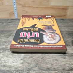 เรียนอย่างไรให้เก่งถึงขั้นเทพ - น็อพเปิ้ลจี รูปที่ 4