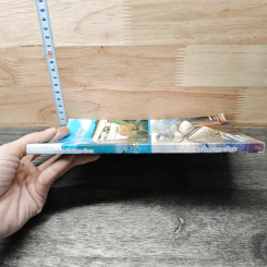 จารึกจีนใหญ่และทิเบต รูปที่ 2