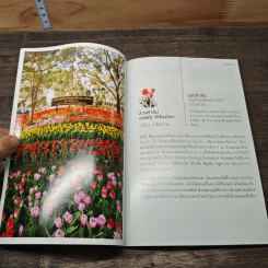Dream Destinations 2 กาลครั้งนั้น...ความฝันผลิบาน - การท่องเที่ยวแห่งประเทศไทย รูปที่ 7