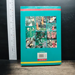 ยาสมุนไพรไทย รูปที่ 2