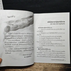 ปุ๋ยหมักชีวภาพ อย่างง่ายๆ รูปที่ 7