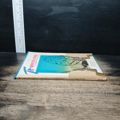 พูดจาประสานน - พิชิต สุวรรณประกร รูปที่ 3