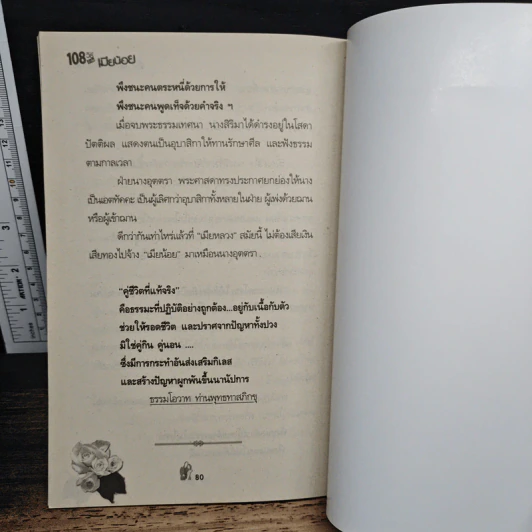 108 วิธีกำจัด เมียน้อย รูปที่ 8