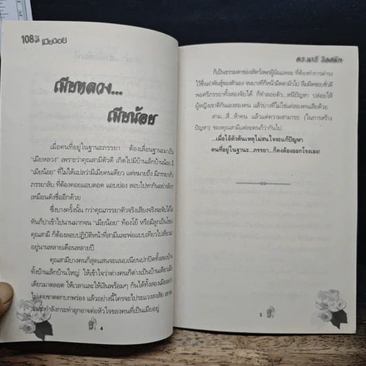 108 วิธีกำจัด เมียน้อย รูปที่ 7