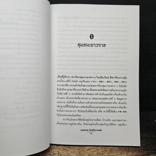 วิถีจีน - พรพรรณ จันทโรนานนท์ รูปที่ 8