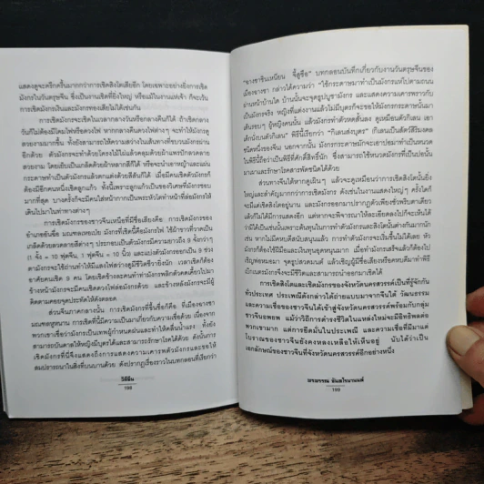 วิถีจีน - พรพรรณ จันทโรนานนท์ รูปที่ 9
