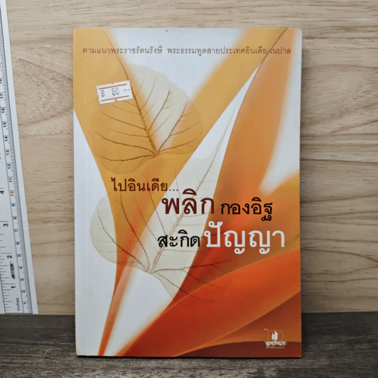 ไปอินเดีย...พลิกกองอิฐ สะกิดปัญญา รูปที่ 1