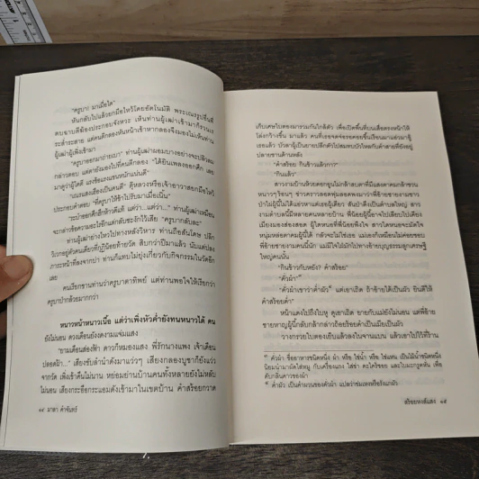สร้อยหงส์แสง - มาลา คำจันทร์ รูปที่ 8