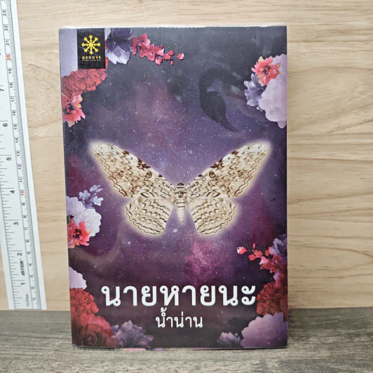 นายหายนะ - น้ำน่าน รูปที่ 1