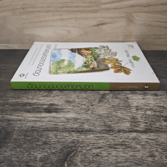 อ้อมกอดของสายหมอก - bookmark รูปที่ 2