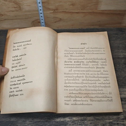โลกของภาษาและวรรณคดี - ประจักษ์ ประภาพิทยากร รูปที่ 6