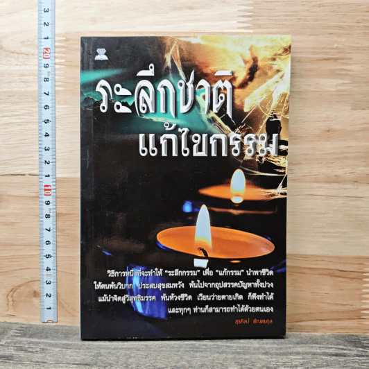 ระลึกชาติ แก้ไขกรรม - สุรศิลป์ ตัณตยกุล รูปที่ 1