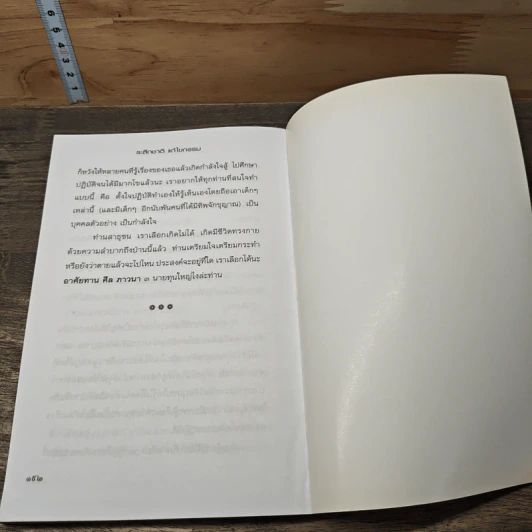 ระลึกชาติ แก้ไขกรรม - สุรศิลป์ ตัณตยกุล รูปที่ 10