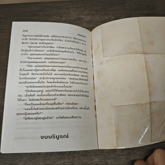 เปลวทอง - จามรี พรรณชมพู รูปที่ 8