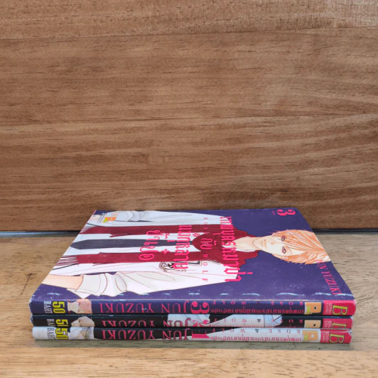ROSE & WOLF เทพบุตรหมาป่ากับแม่กุหลาบป้ำเป๋อ เล่ม 1-3 - Jun Yuzuki รูปที่ 2