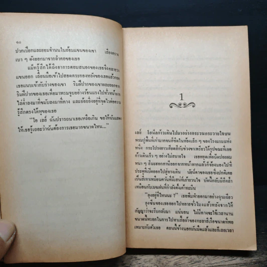 นิยายโรมานซ์ เมียเก็บ - ไพลิน รูปที่ 8
