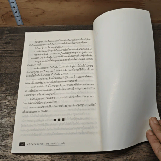 เผชิญเผ่านาคาปลายฟ้าหิมาลัย - บุญยงค์ เกศเทศ รูปที่ 9