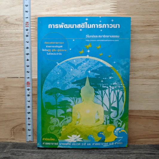 การพัฒนาสติในการภาวนา - นายแพทย์ประเวศ วะสี รูปที่ 1