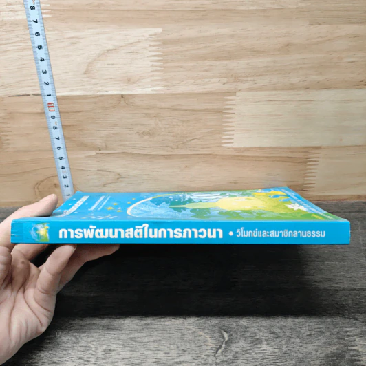 การพัฒนาสติในการภาวนา - นายแพทย์ประเวศ วะสี รูปที่ 2